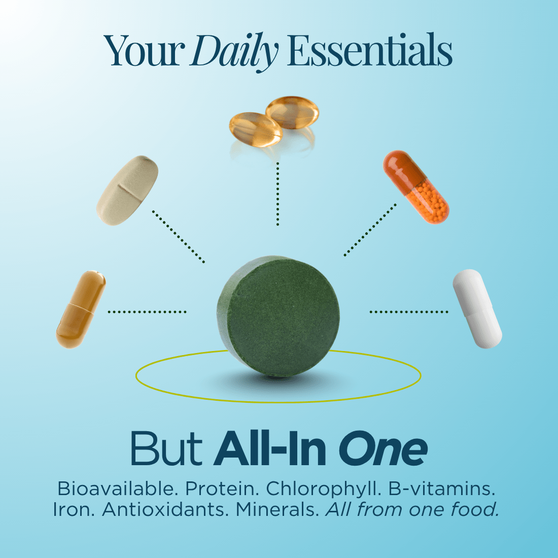 ENERGYbits® Spirulina | Large Bag